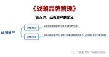 战略品牌管理 构建持久竞争优势的核心