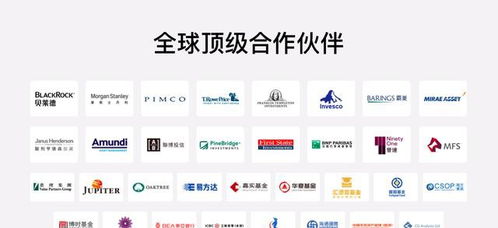 财富管理品牌全新升级 富途大象财富布局全球资产配置