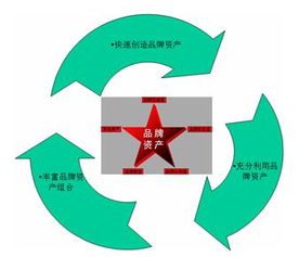 品牌战略的本质 价值管理的核心洞察